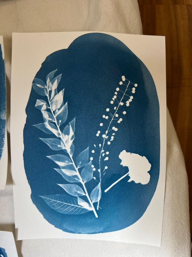 Atelier CYANOTYPE